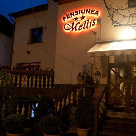 Hotel Pension Mellis Cluj Napoca Exterior foto